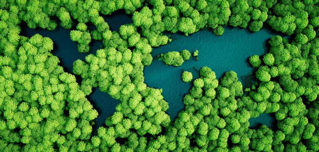 A green forest is shown from above.