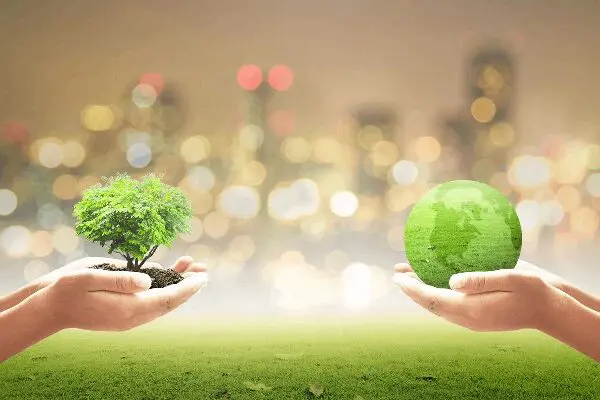 Two hands holding a green globe and tree.