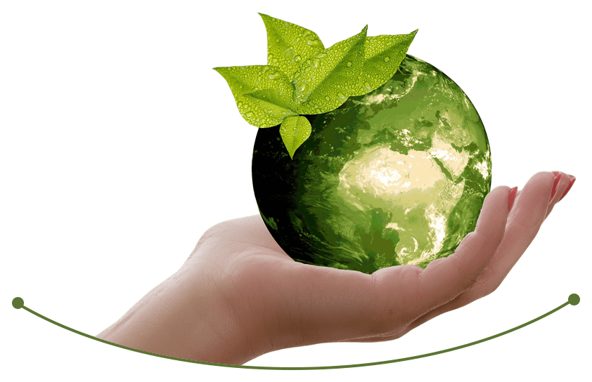 A hand holding a green earth with leaves on it.
